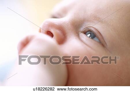 Baby boy's face View Large Photo Image Stock Image - Baby boy's face. Fotosearch