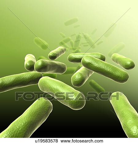 Stock Photo - Bacteria, illustration. Fotosearch