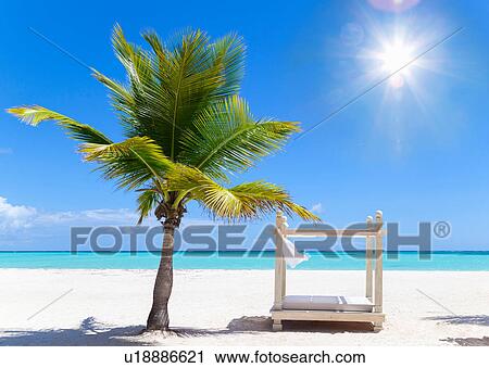 Beach daybed next to palm tree on beach, Dominican Republic, The Caribbean View Large Photo Image Stock Image - Beach daybed next to palm tree on beach, Dominican Republic, The Caribbean. Fotosearch