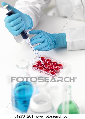 Stock Image - Biological research. Fotosearch