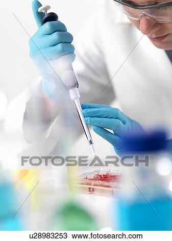 Stock Image - Biological research. Fotosearch