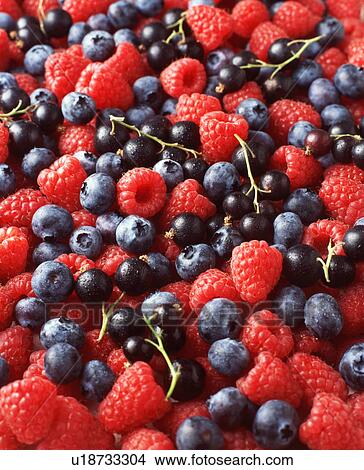 Picture - Blueberries, raspberries and blackcurrants, full frame, close-up. Fotosearch