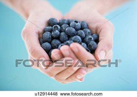 Stock Photo - Blueberries. Fotosearch