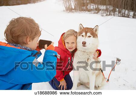 Boy taking smartphone photo of brother and husky in snow, Elmau, Bavaria, Germany View Large Photo Image Stock Photograph - Boy taking smartphone photo of brother and husky in snow, Elmau, Bavaria, Germany. Fotosearch