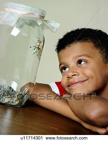 Boy with pet locusts View Large Photo Image Stock Image - Boy with pet locusts. Fotosearch