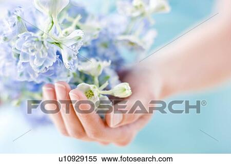 Bunch of flowers View Large Photo Image Stock Photography - Bunch of flowers. Fotosearch