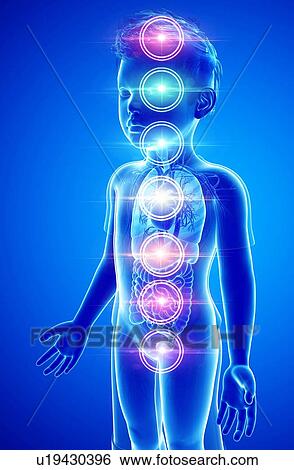 Chakra energy points, illustration View Large Photo Image Stock Photograph - Chakra energy points, illustration. Fotosearch
