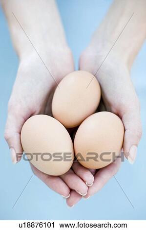 Stock Image - Chicken eggs. Fotosearch