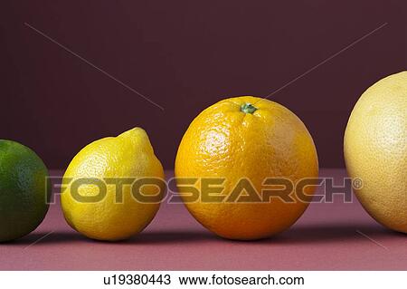 Stock Image - Citrus fruit. Fotosearch