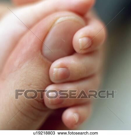 Stock Image - Cling reflex. Fotosearch