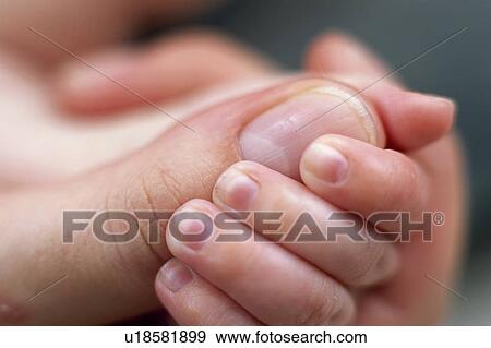 Cling reflex View Large Photo Image Stock Photo - Cling reflex. Fotosearch