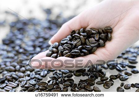 Coffee beans View Large Photo Image Stock Image - Coffee beans. Fotosearch