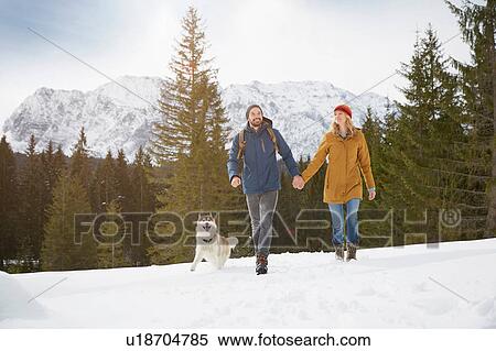 Stock Photography - Couple walking husky in snow covered landscape, Elmau, Bavaria, Germany. Fotosearch