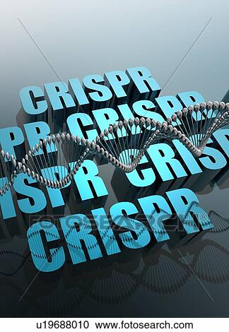 Stock Image - CRISPR gene editing, illustration. Fotosearch