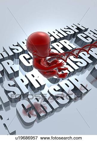 CRISPR gene editing, illustration View Large Photo Image Stock Photo - CRISPR gene editing, illustration. Fotosearch