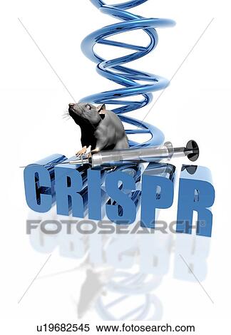 Stock Photography - CRISPR gene editing, illustration. Fotosearch