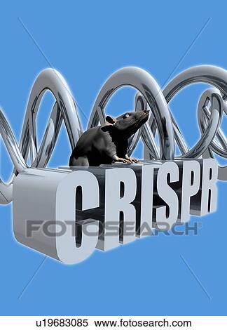 CRISPR gene editing, illustration View Large Photo Image Stock Photography - CRISPR gene editing, illustration. Fotosearch