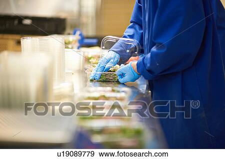 Stock Photo - Cropped side view of worker on production line packaging vegetables into plaster containers. Fotosearch