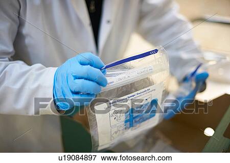 Cropped view of worker wearing latex gloves collecting sample in plastic bag View Large Photo Image Stock Photo - Cropped view of worker wearing latex gloves collecting sample in plastic bag. Fotosearch