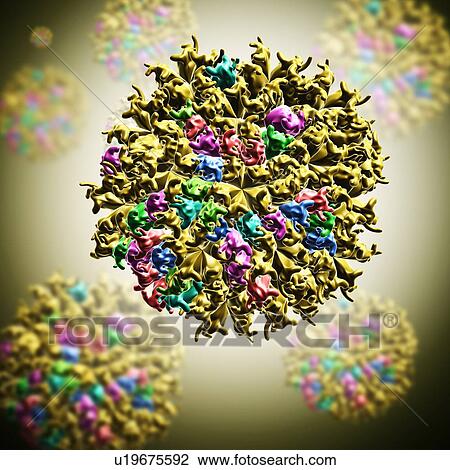 Cucumber Mosaic Virus, artwork View Large Photo Image Stock Image - Cucumber Mosaic Virus, artwork. Fotosearch