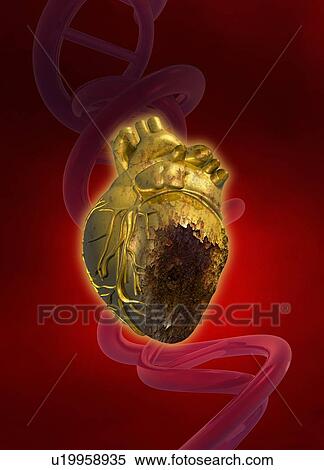 Stock Photography - Decaying heart, illustration. Fotosearch