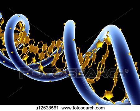 DNA molecule, artwork View Large Photo Image Stock Image - DNA molecule, artwork. Fotosearch