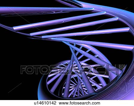 DNA molecule, artwork View Large Photo Image Stock Image - DNA molecule, artwork. Fotosearch