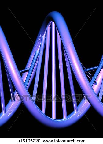 DNA molecule, artwork View Large Photo Image Stock Image - DNA molecule, artwork. Fotosearch