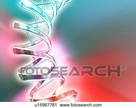 Stock Image - DNA molecule, artwork. Fotosearch