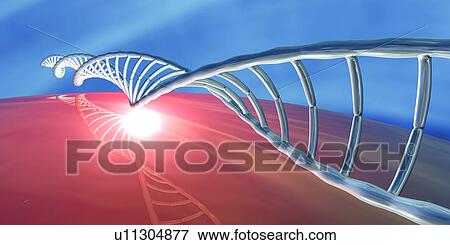 Stock Photo - DNA molecule, artwork. Fotosearch