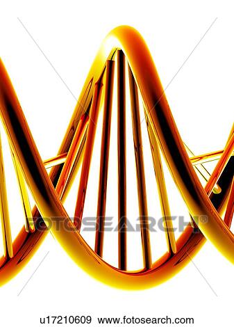 Stock Photo - DNA molecule, artwork. Fotosearch