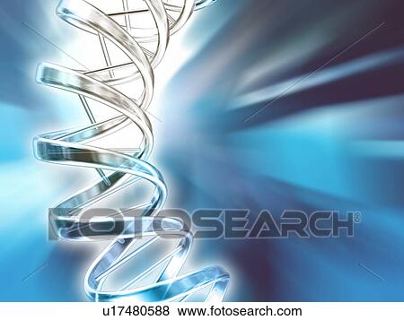 DNA molecule, artwork View Large Photo Image Stock Photo - DNA molecule, artwork. Fotosearch