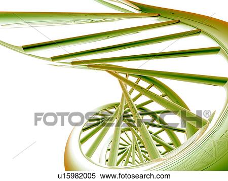 Stock Photography - DNA molecule, artwork. Fotosearch