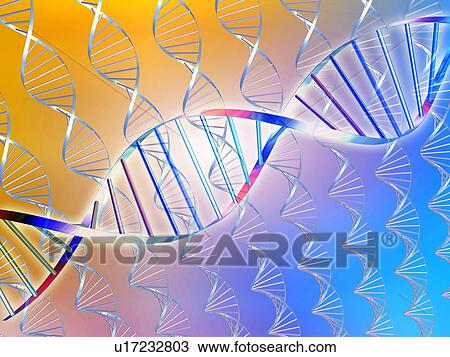 DNA molecules, artwork View Large Photo Image Stock Image - DNA molecules, artwork. Fotosearch