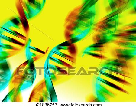 Stock Image - DNA molecules, artwork. Fotosearch