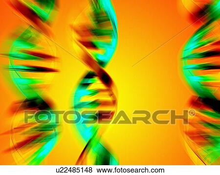 DNA molecules, artwork View Large Photo Image Stock Photo - DNA molecules, artwork. Fotosearch