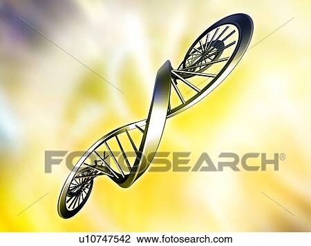 DNA strand, artwork View Large Photo Image Stock Image - DNA strand, artwork. Fotosearch