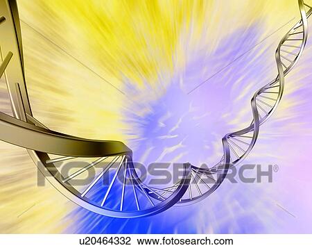 DNA strand, artwork View Large Photo Image Stock Image - DNA strand, artwork. Fotosearch