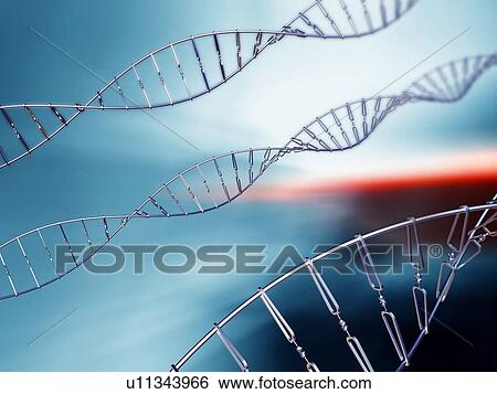Stock Photograph - DNA strand, artwork. Fotosearch