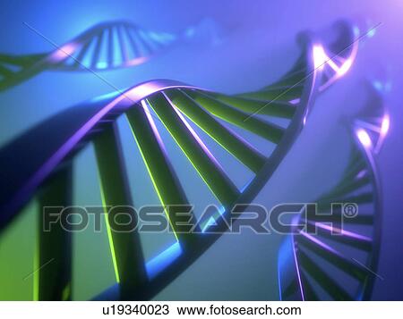 Dna strand, illustration View Large Photo Image Stock Image - Dna strand, illustration. Fotosearch