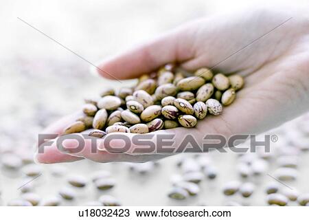Stock Image - Dried beans. Fotosearch