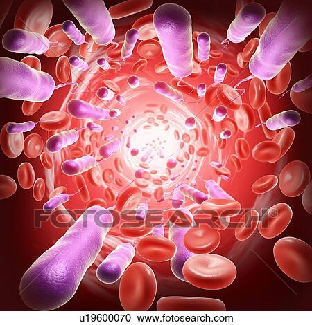 Stock Image - E coli bacteria, illustration. Fotosearch
