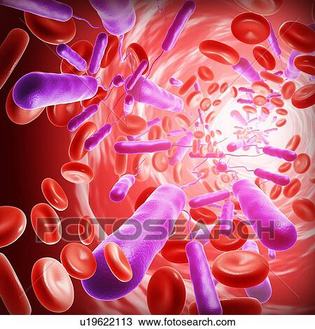 Stock Image - E coli bacteria, illustration. Fotosearch
