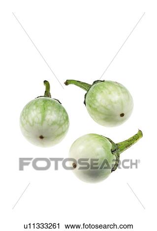 Stock Image - Eggplant. Fotosearch