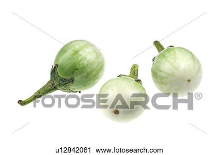 Eggplant View Large Photo Image Stock Image - Eggplant. Fotosearch