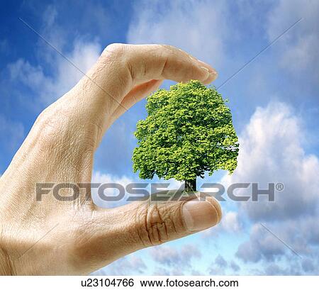 Stock Photograph - Environmental care, conceptual image. Fotosearch