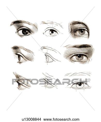 Eyes, artwork View Large Photo Image Picture - Eyes, artwork. Fotosearch