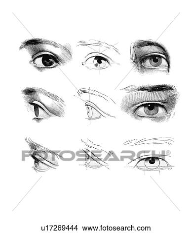 Picture - Eyes, artwork. Fotosearch