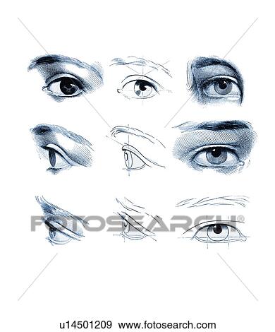 Eyes, artwork View Large Photo Image Stock Photo - Eyes, artwork. Fotosearch