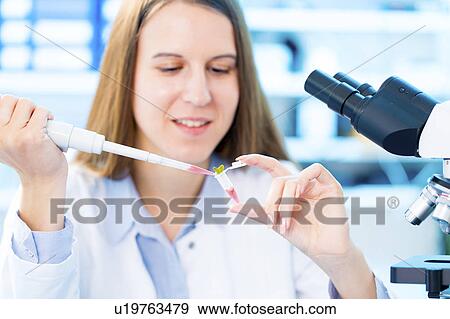 Female biologist holding seedling in lab View Large Photo Image Stock Photo - Female biologist holding seedling in lab. Fotosearch